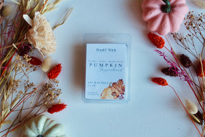 Pumpkin Gingerbread Soy Wax Melt