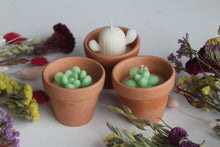 Load image into Gallery viewer, Terracotta Succulent Candle
