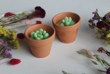 Load image into Gallery viewer, Terracotta Succulent Candle
