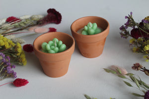 Terracotta Succulent Candle