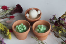 Load image into Gallery viewer, Terracotta Succulent Candle
