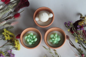 Terracotta Succulent Candle