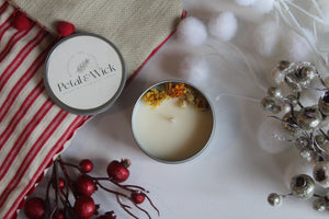 Snickerdoodle Soy Candle